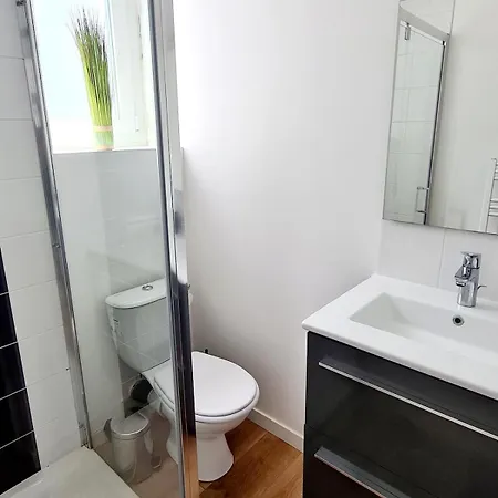 1 Cozy En Centre-ville - Puy Dufou דירה לז הרבייה