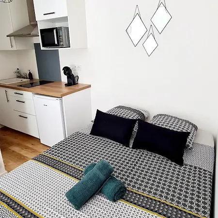 1 Cozy En Centre-ville - Puy Dufou דירה *