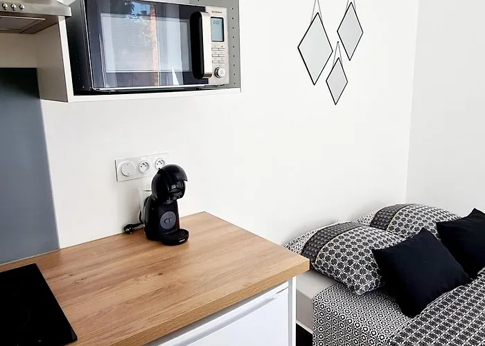 1 Cozy En Centre-ville - Puy Dufou Appartement *