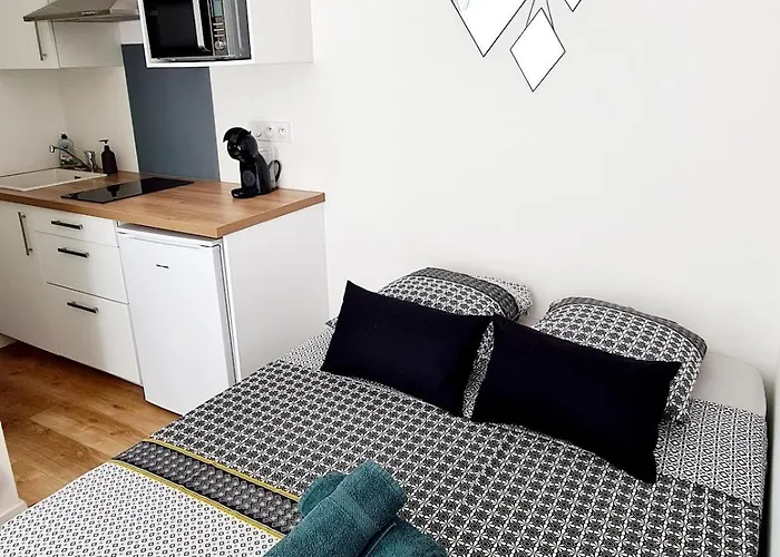 1 Cozy En Centre-ville - Puy Dufou Appartement *